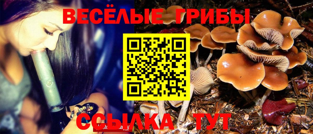 Псилоцибиновые грибы мухоморы Тольятти
