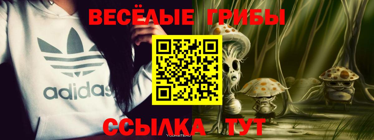 Псилоцибиновые грибы GOLDEN TEACHER  наркотики  Тольятти  Вход с VPN 